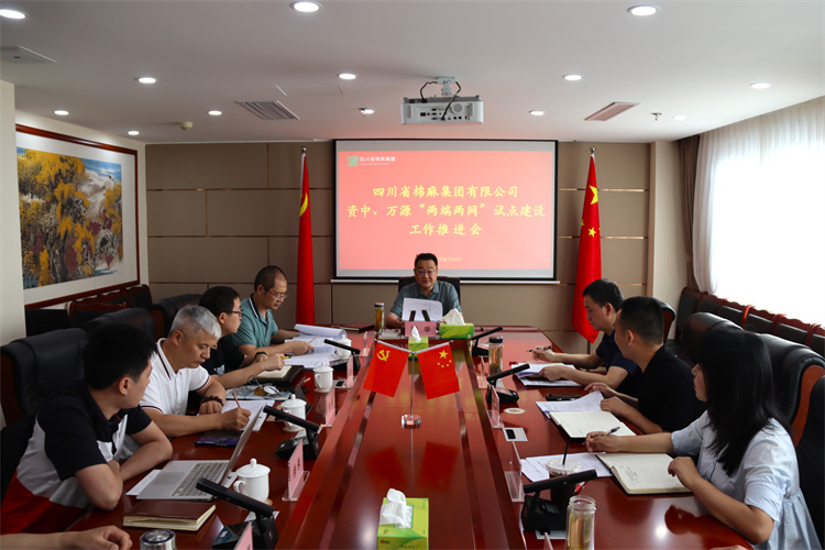 鄧華主持召開資中、萬源“兩端兩網(wǎng)”試點(diǎn)建設(shè)工作推進(jìn)會