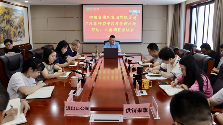 集團(tuán)公司召開在改革轉(zhuǎn)型中涉及管理板塊、架構(gòu)、人員調(diào)整座談會