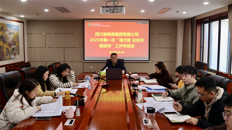 集團公司召開2025年第一次“清欠款、去庫存、調(diào)結(jié)構(gòu)”工作專題會